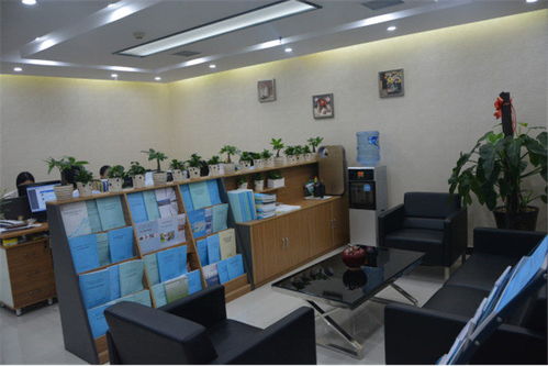 高碑店市农村厕所改造工程标书编制与工程咨询服务方案