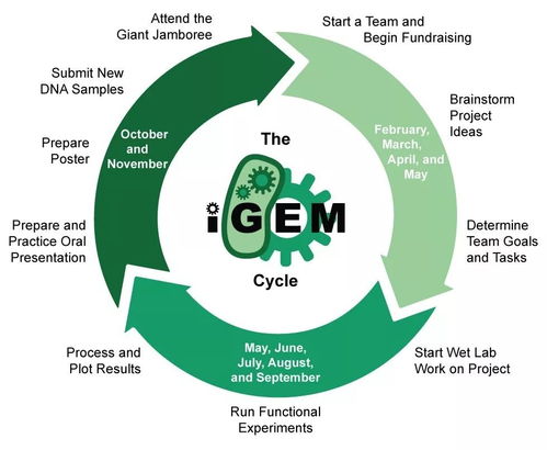 启航基因工程梦想！国际遗传工程机器大赛（iGEM）高含金量竞赛学员招募中